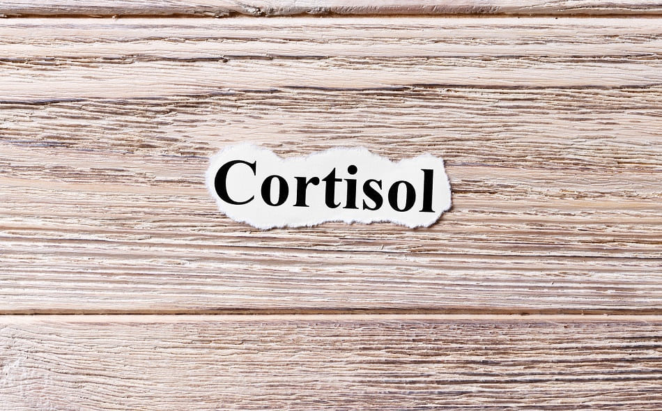 Das Wort Cortisol auf einem Papierschnipsel auf einem Holztisch